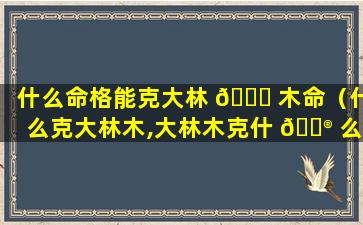什么命格能克大林 🐟 木命（什么克大林木,大林木克什 💮 么.）